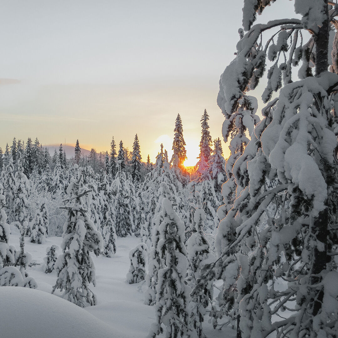 Wintery sunset scene in Ivalo, Finland