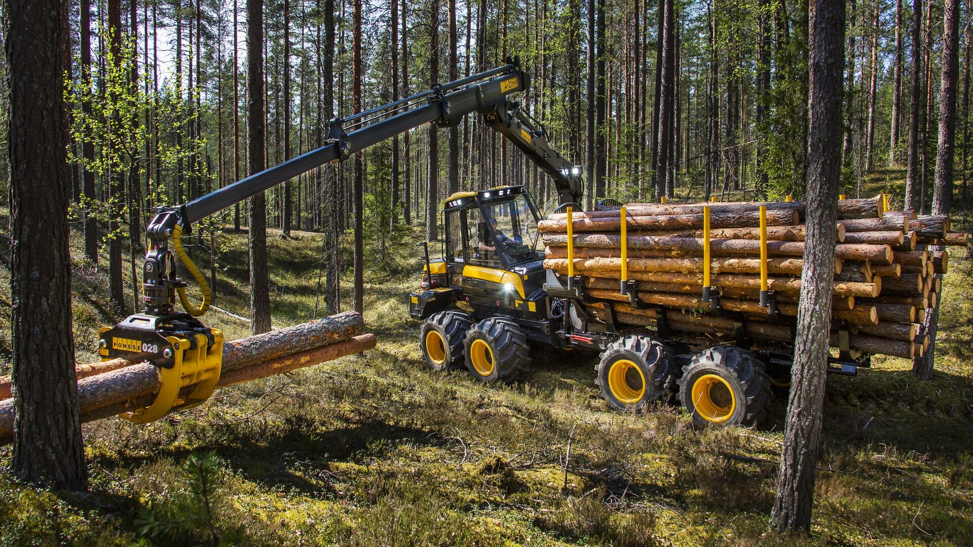 Timber loading in summer with Nokian Tyres Forest King TRS 2
