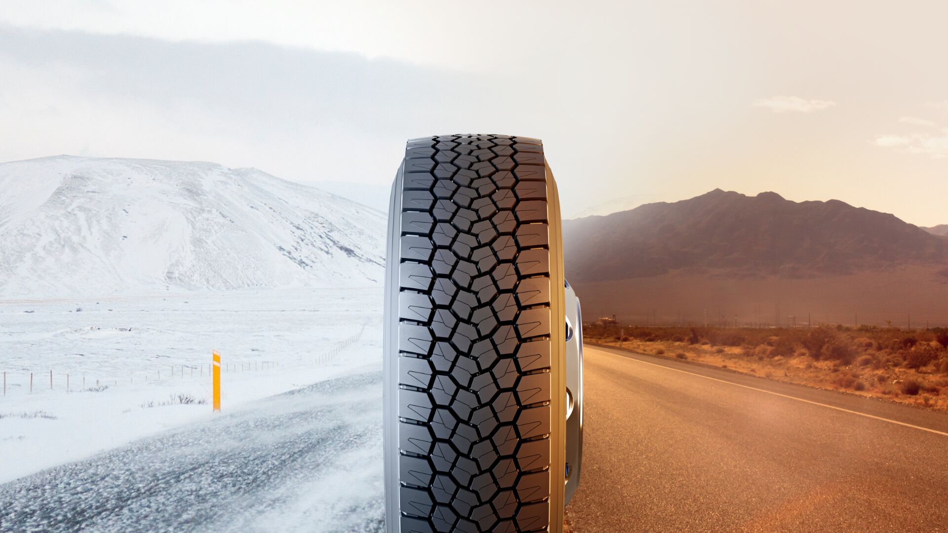 studio-file://69a6dcd33213fd8fbd06d744/