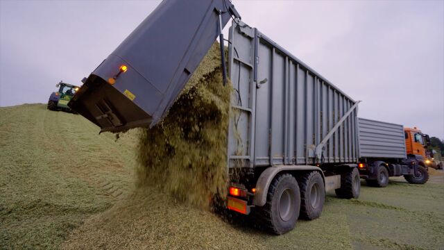 Wagner - Nokian Tyres CT