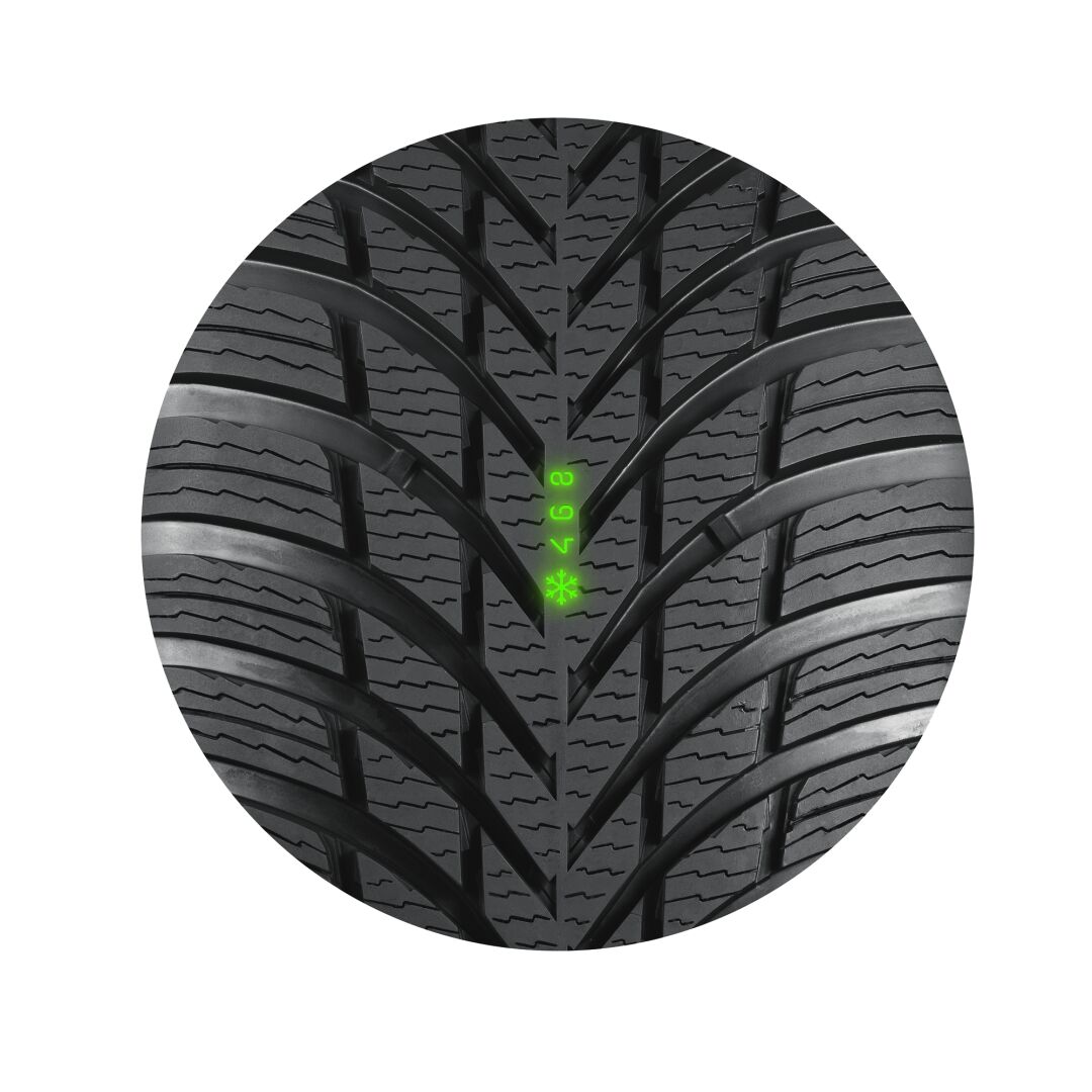 studio-file://68ad89b7fb8b6755170fa284/